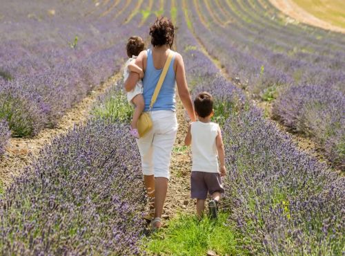 Visite à Besplas, terroir insoupçonné de la lavande