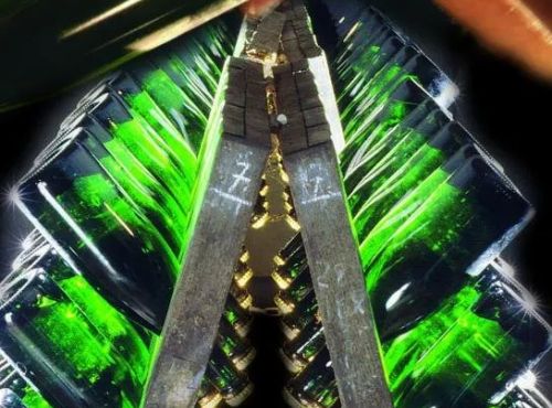 Visite et dégustation de Blanquette de Limoux