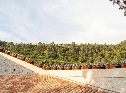 Visite commentée et dégustation vinaigrerie authentique