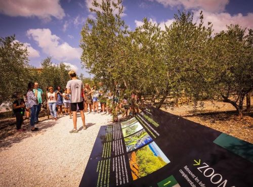 odyssee_olivier_degustation_C°JB_Roubinet