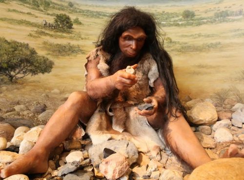 Visite du musée de la Préhistoire de Tautavel