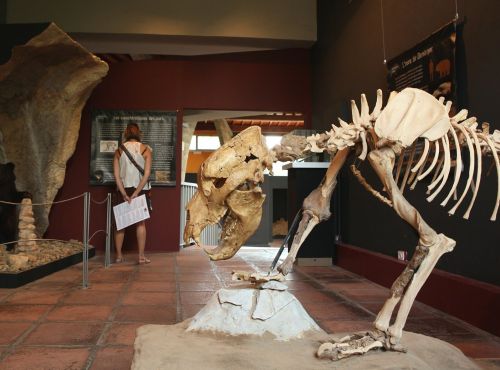 Musée de Préhistoire de Tautavel, un voyage en famille dans le passé.