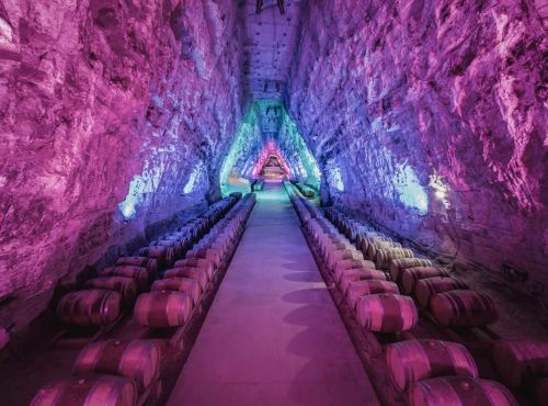 Visita a Terra Vinea en Portel-des-Corbières