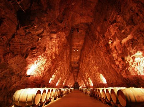 Visite de Terra Vinéa à Portel des Corbières
