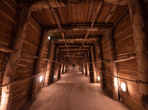 Visite de Terra Vinea à Portel des Corbières