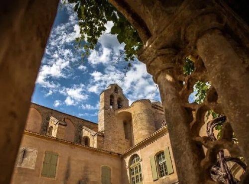 Visite de l'abbaye Sainte-Marie de Valmagne