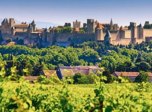 Visite guidée de 1h30 de la Cité médiévale de Carcassonne