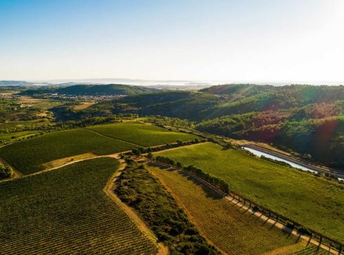 Aventure vigneronne en Corbières Maritimes