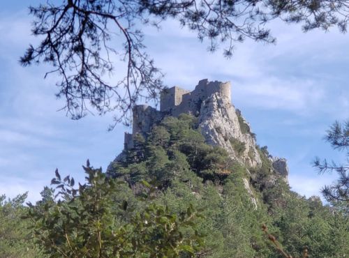 Visite pour scolaires du château de Puilaurens
