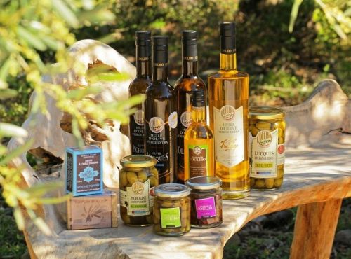 Escapade terroir et saveurs, vin miel et olive en Minervois