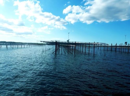 Rencontre avec une pêcheuse et découverte du métier