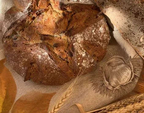 Du pain et du vin à Cucugnan