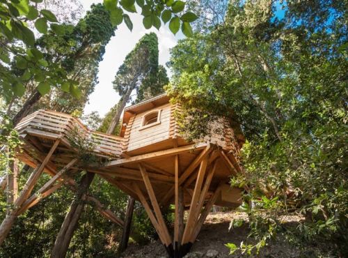 Nuit en Cabane dans les Bois – Nature charme et évasion à 2 pas de Carcassonne