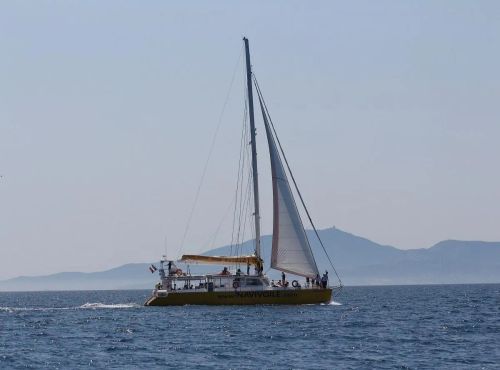 Croisière en catamaran au large de la côte catalane