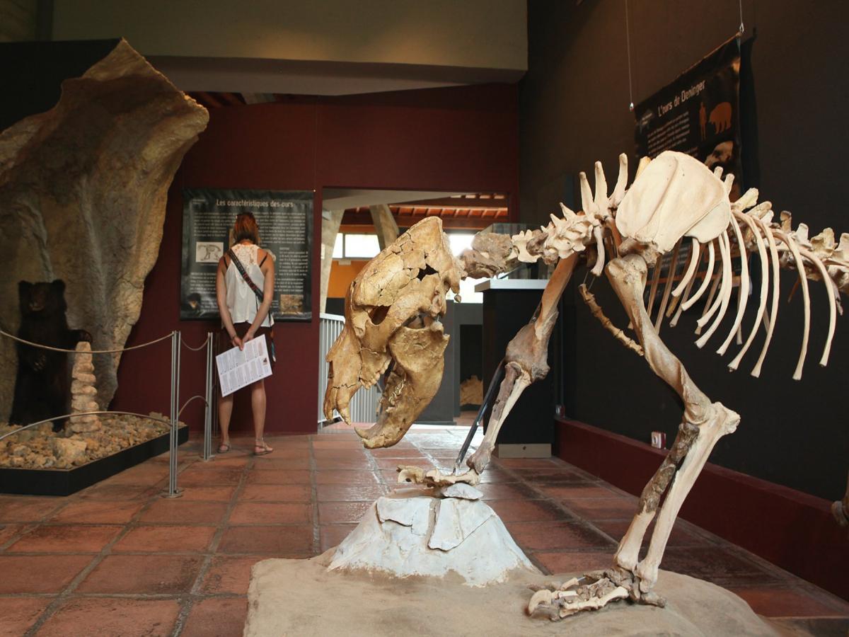 Musée De Tautavel Centre Européen De Préhistoire Avis billet Musée de Préhistoire de Tautavel