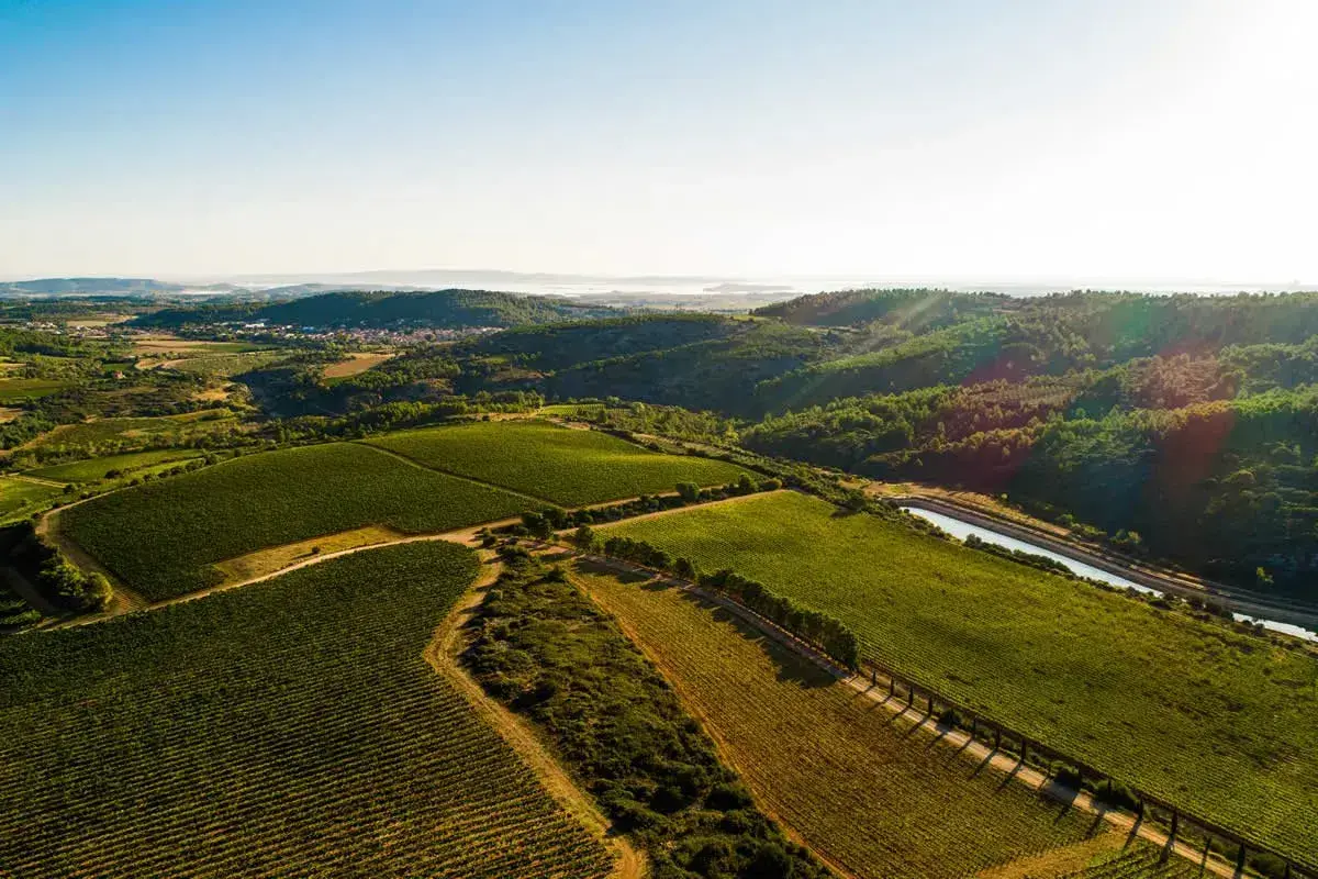 Aventure vigneronne en Corbières Maritimes